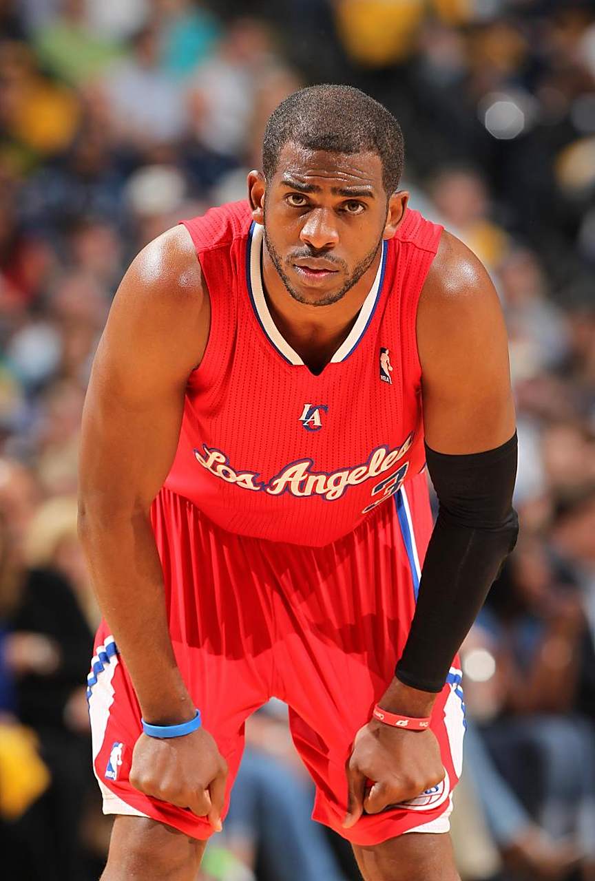 供了多样化 供了多样化